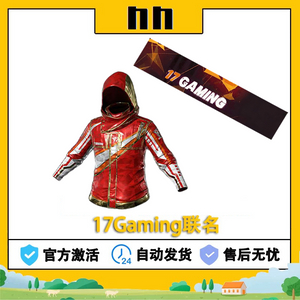 배그 17 Gaming 게이밍 스킨 코드 이미지