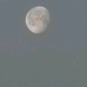 발로란트 굿즈 이미지