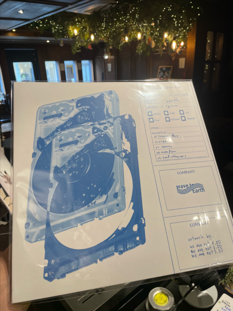 웨이브투어스 LP Wavre to Earth Lp--1