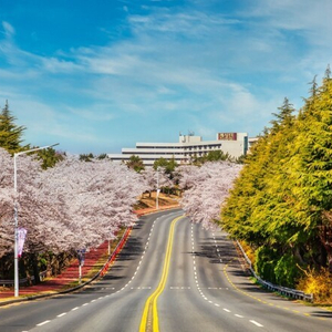 (4월 5월 6월) 설악비치/ 설악밸리/ 경주/ 켄싱턴 리조트!! 이미지