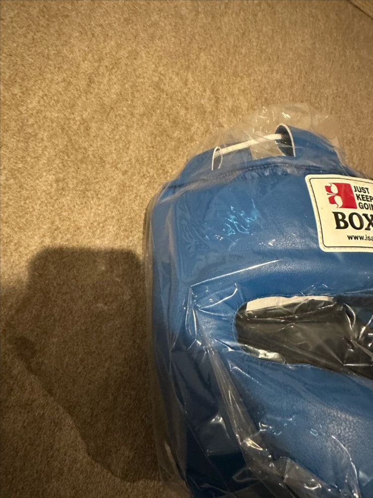 이사미 풀페이스 코보호 헤드기어 블루 이미지