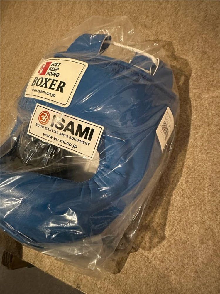 이사미 풀페이스 코보호 헤드기어 블루 이미지