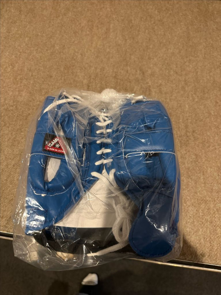 이사미 풀페이스 코보호 헤드기어 블루 이미지