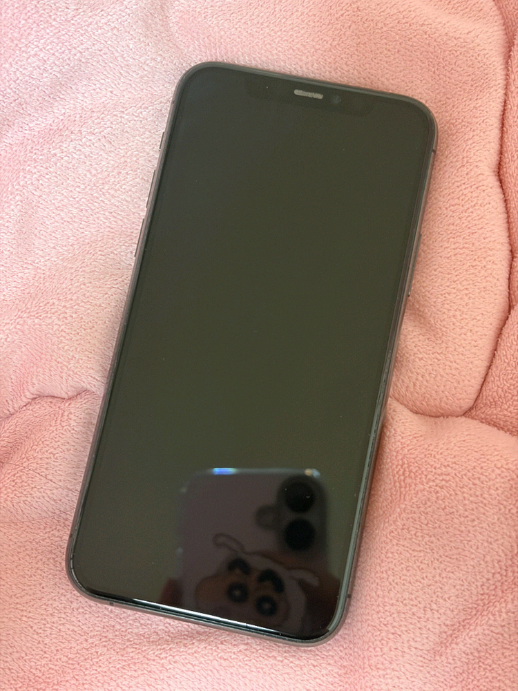 애플 아이폰11프로 256 스페이스 그레이--9