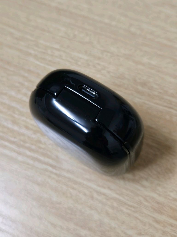 버즈라이브 블랙 충전본체 이미지