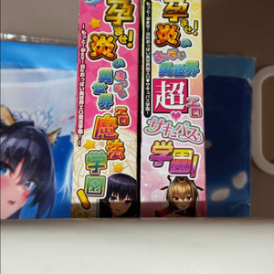 불꽃의 가슴 이세계 마법학원, 서큐버스 학원 일괄 판매 이미지