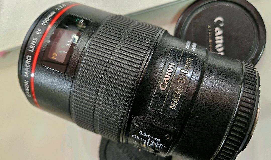 캐논 EF 100mm F2.8L MACRO IS USM 백마엘 백마크로 이미지