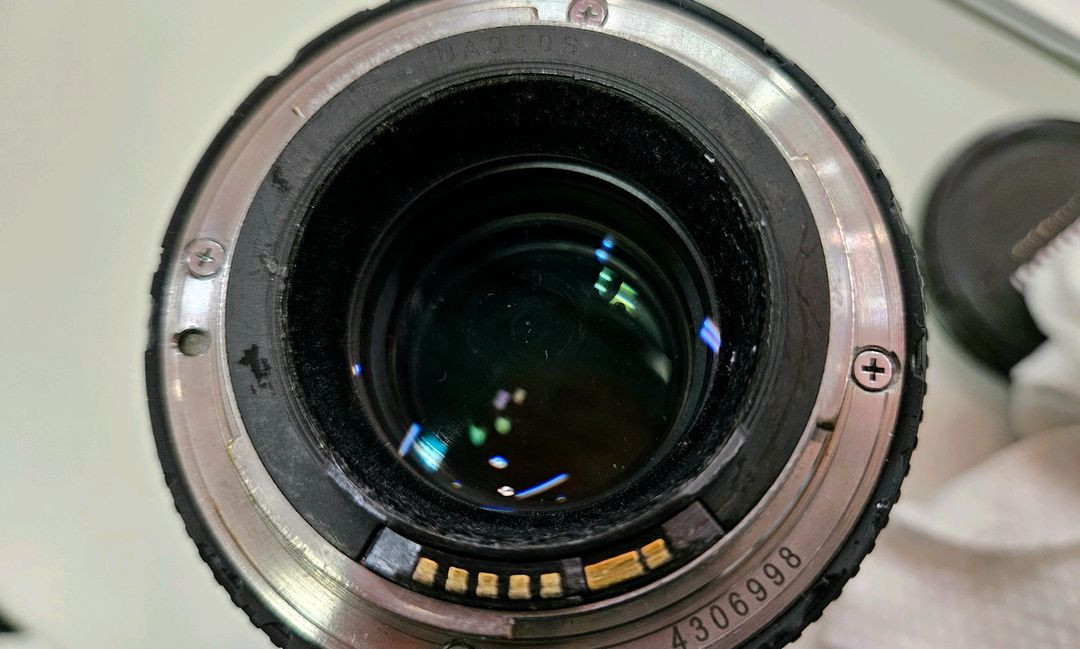 캐논 EF 100mm F2.8L MACRO IS USM 백마엘 백마크로 이미지