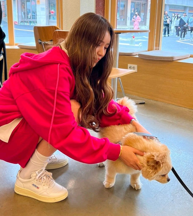 마리마켓 비비드 얌얌--0