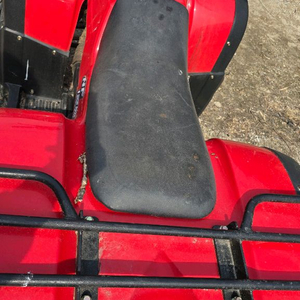 뉴포스125cc 4륜 ATV 오토바이 이미지