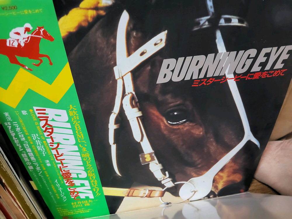 LP 음반 50장 일괄판매 (11 LP 턴테이블 오디오 앰프 스피커--9