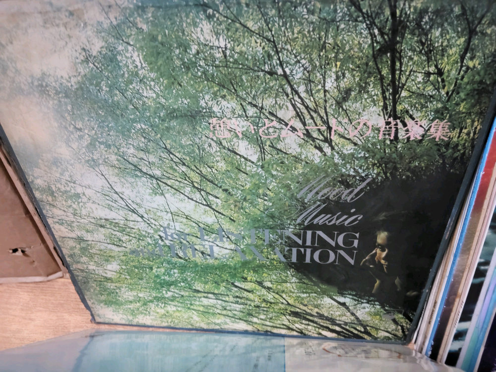 LP 음반 50장 일괄판매 (13 LP 턴테이블 오디오 앰프 스피커--3