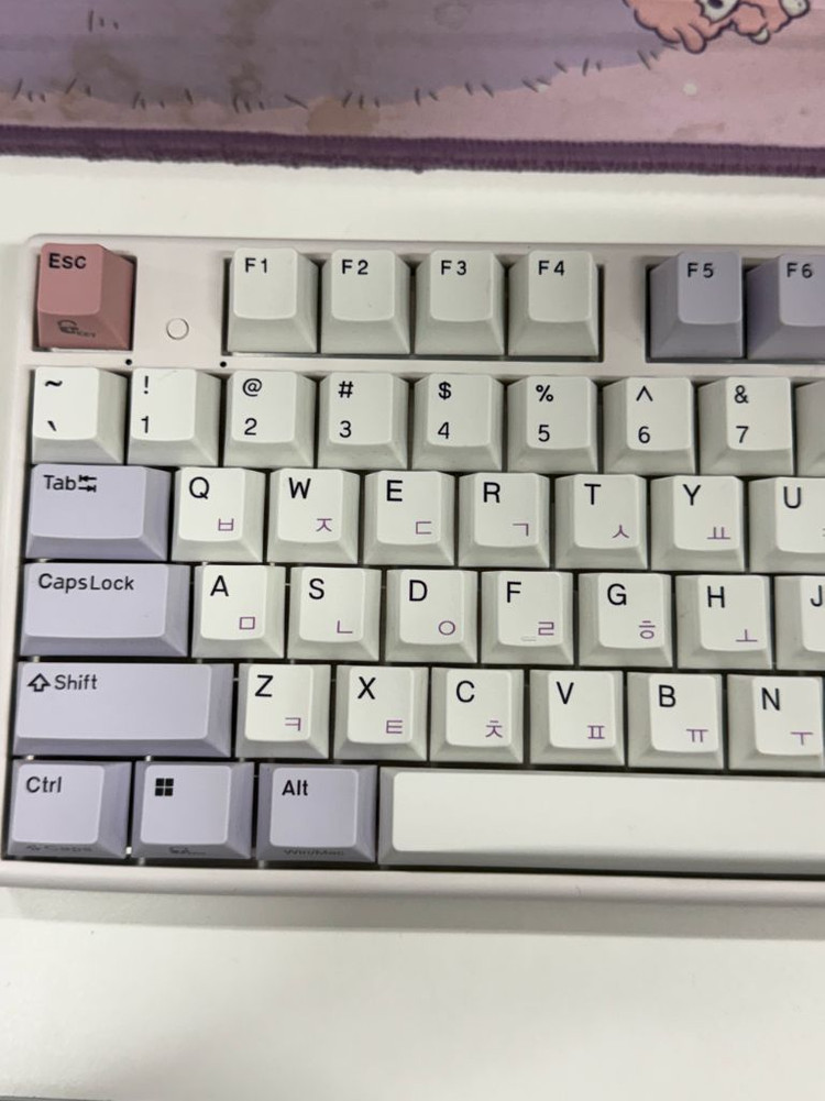 한성 GK898B PRO 퍼플하트 무접점키보드 35g 이미지