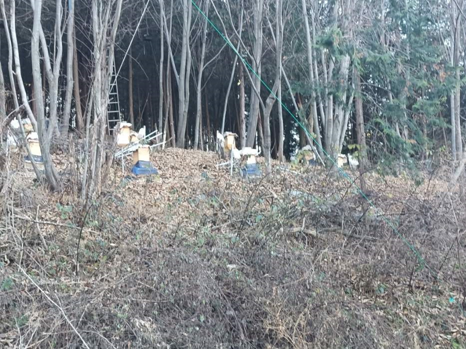 꿀벌사육장비 세트--1