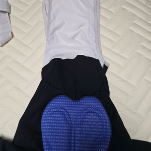 빈텔로 빕숏 이미지