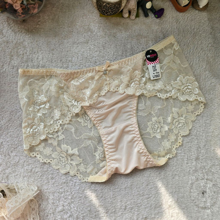 레이스 여성팬티100사이즈 10장 판매 이미지