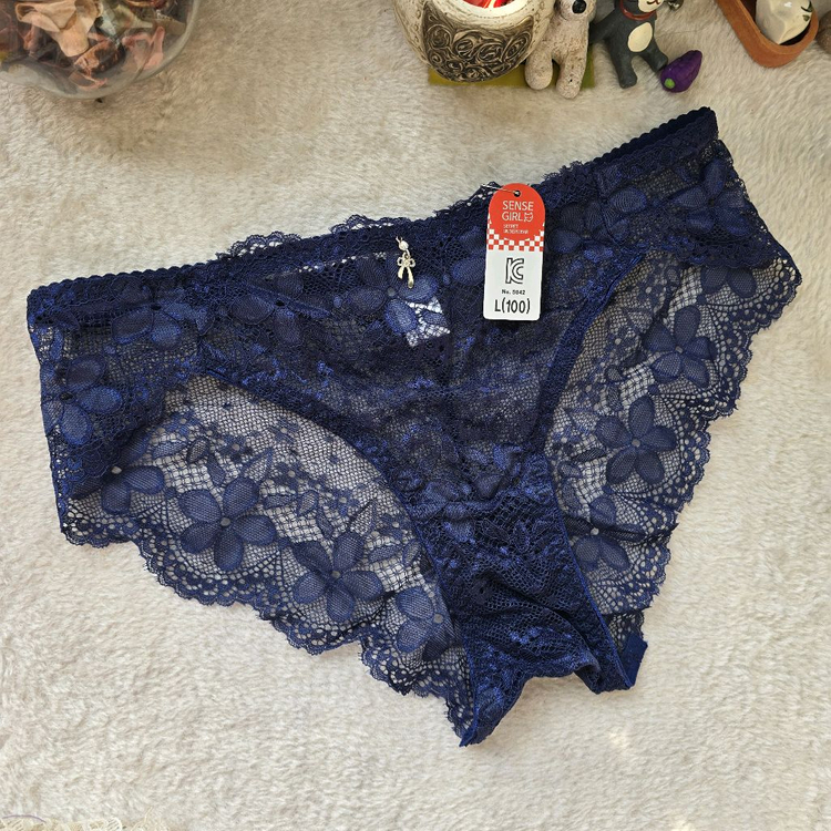 레이스 여성팬티100사이즈 10장 판매 이미지
