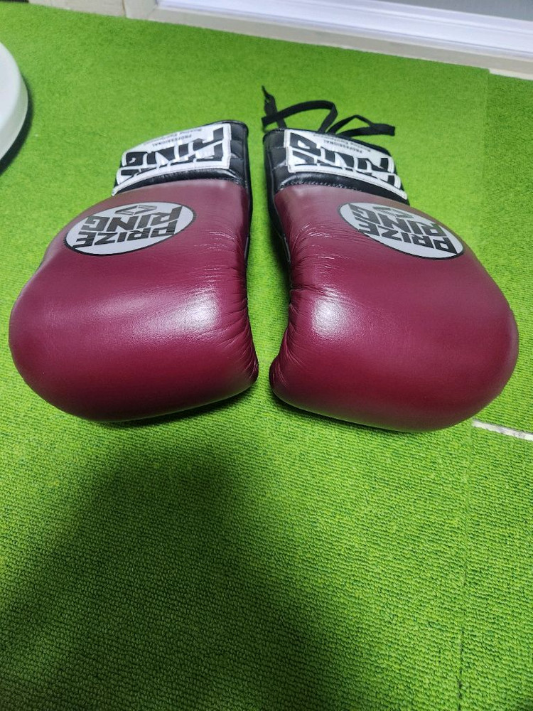 프라이즈링sx 14온스 글러브 이미지