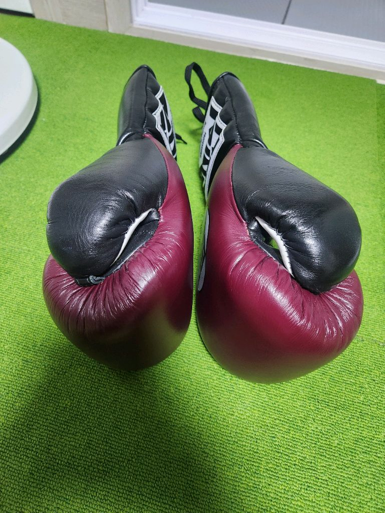 프라이즈링sx 14온스 글러브 이미지