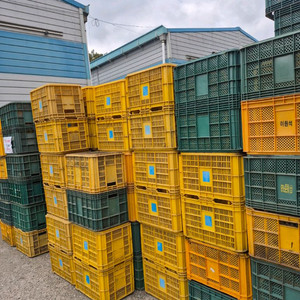 콘티박스 개당2000원 이미지