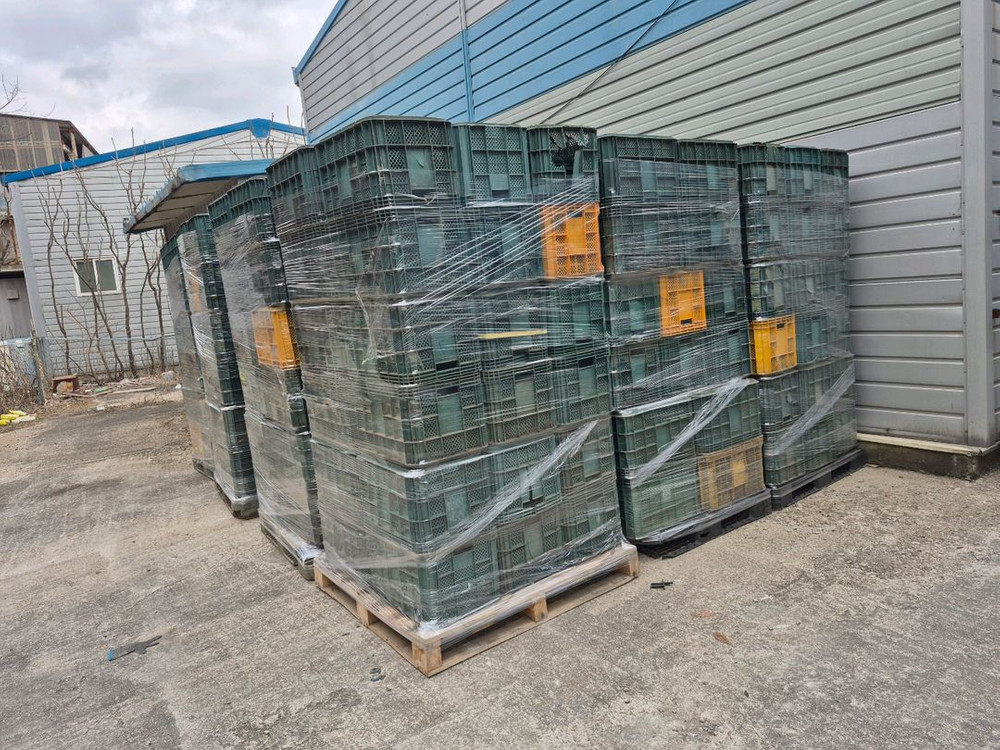 콘티박스 개당2000원 이미지