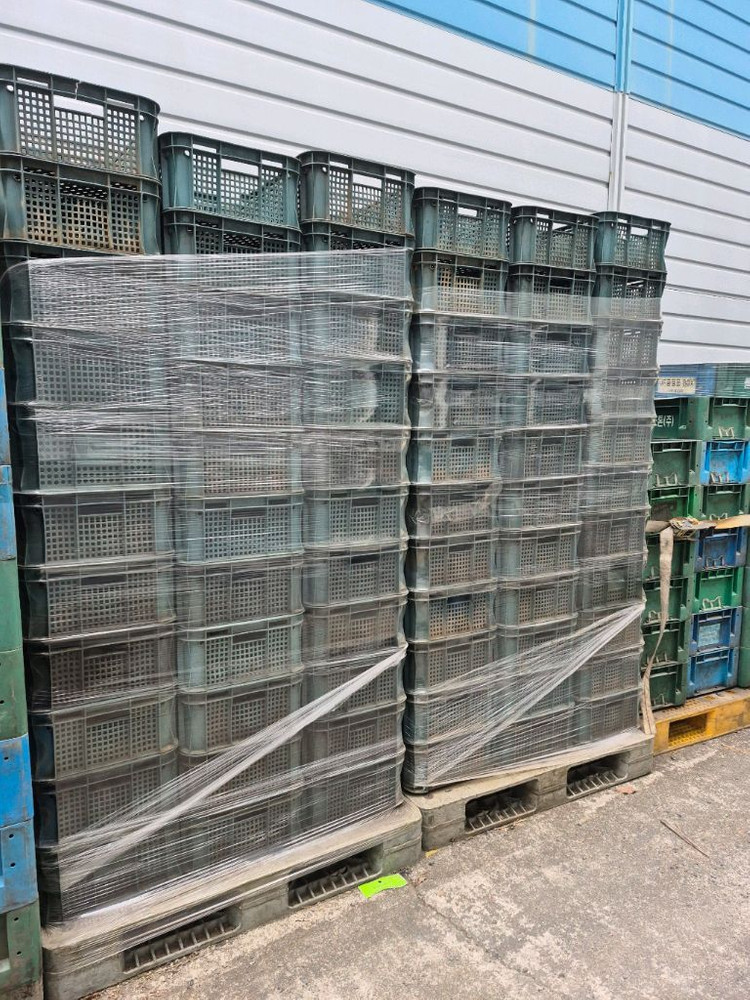 콘티박스 개당2000원 이미지