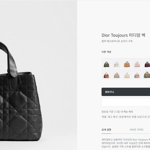 디올 뚜주흐 미디엄백 이미지