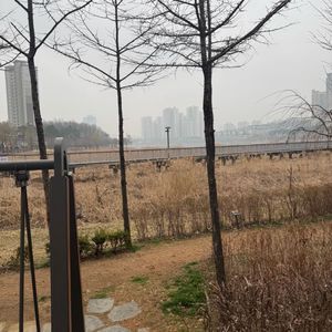 픽시 할부로삽니다 할부인대신 가격2배로 삽니다 max 1000만원