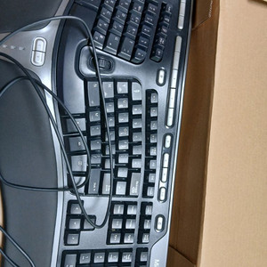 인체공학 Microsoft Natural Ergonomic 키보드 v1.0