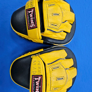 복싱/MMA 트윈스 미트 이미지