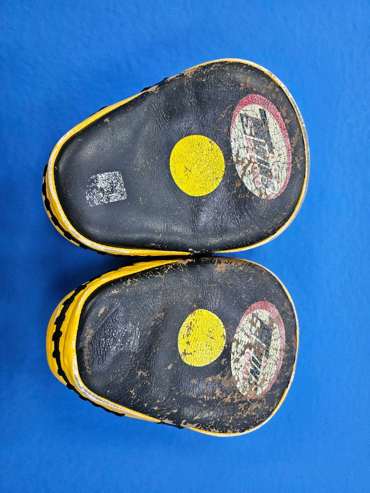 복싱/MMA 트윈스 미트 이미지