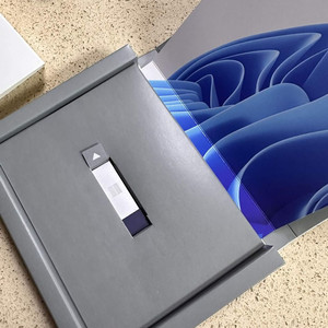 윈도우11 홈 처음사용자(FPP) 정품 이미지