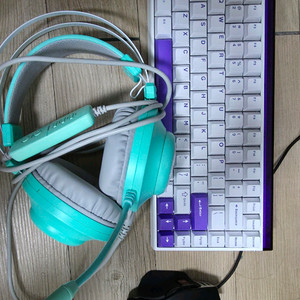 9800x3d 5080 램 32gb 본체