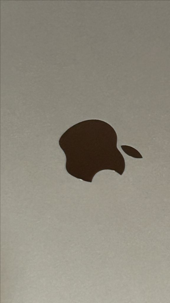 아이패드 프로 3세대 11인치 256GB 와이파이 판매합니다 이미지