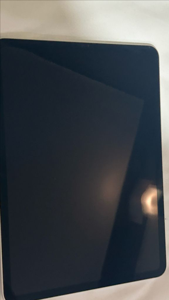 아이패드 프로 3세대 11인치 256GB 와이파이 판매합니다 이미지