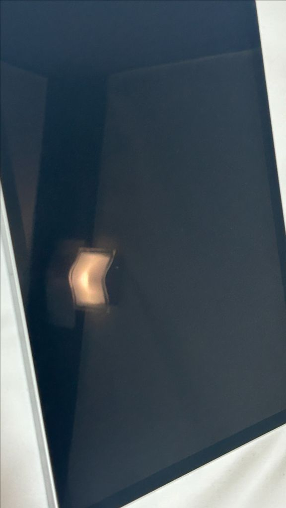 아이패드 프로 3세대 11인치 256GB 와이파이 판매합니다 이미지