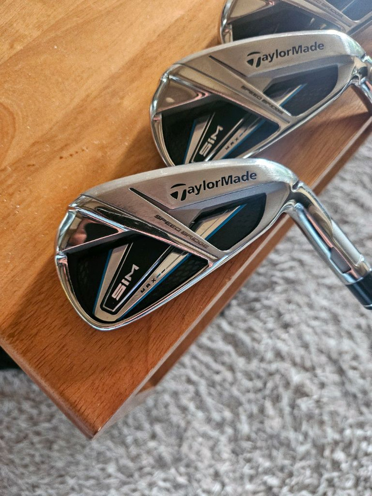 어뉴 골프 캐디백 + 테일러메이드 SIM MAX 풀세트 이미지