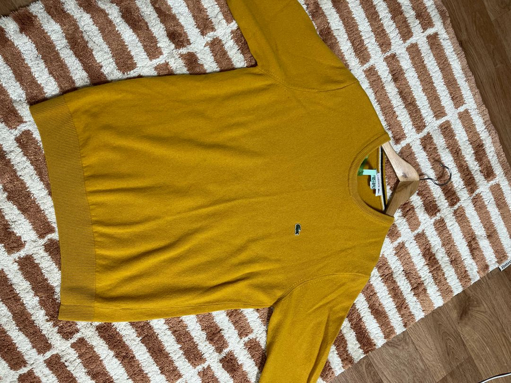 라코스테 니트--1