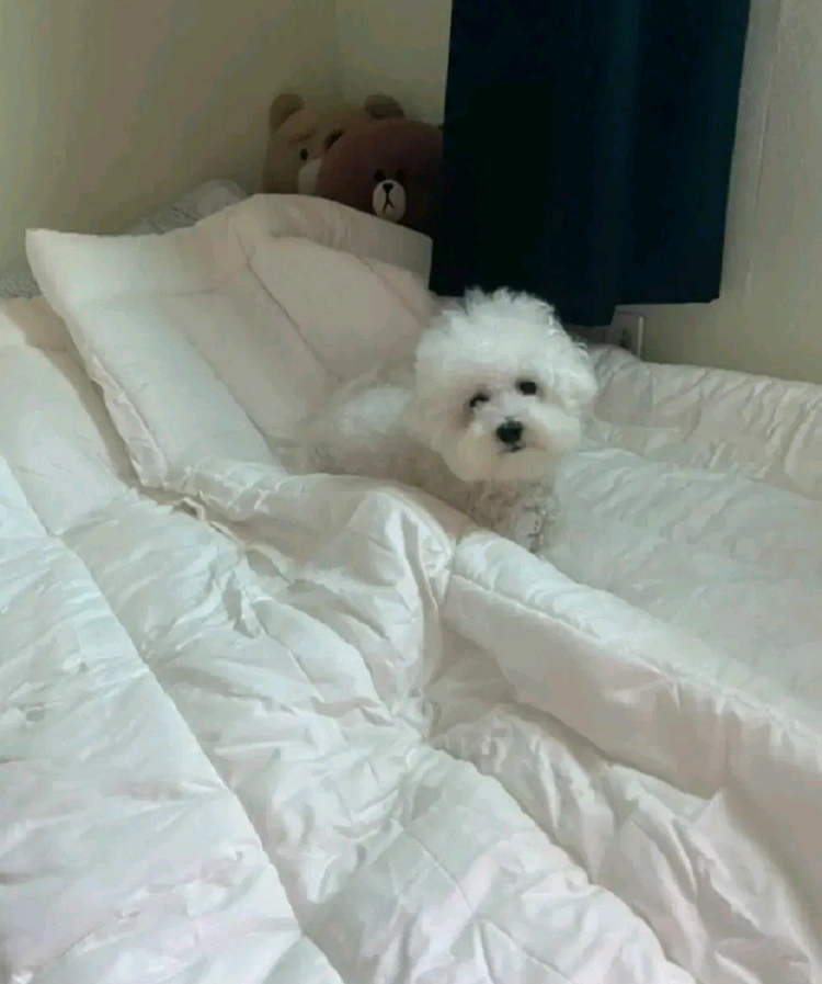 구름 순면 차렵이불 3가지 색상 이미지