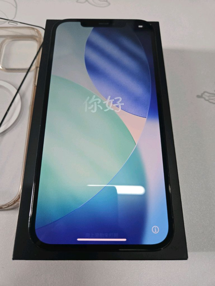 아이폰 12프로맥스 Promax 512GB 퍼시픽 블루 자급제--5