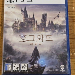 PS5 플스5 호그와트 레거시 이미지