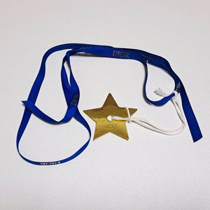 [100%/정품] 디올 별 참 VIP 한정 지급, 디올참,디올악세서리,디올악세사리