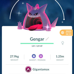 포켓몬고 이로치 거다이맥스 팬텀(40레벨) 이미지