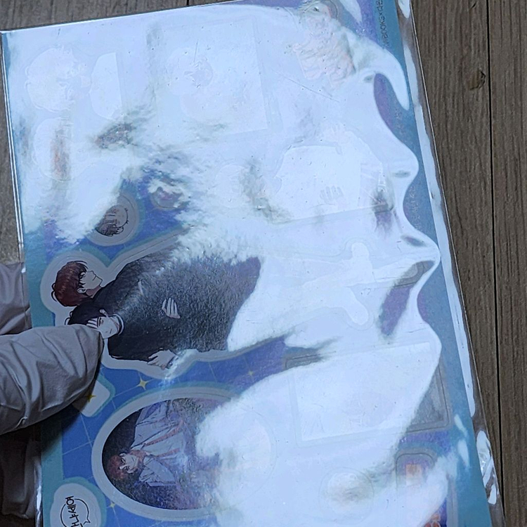 데못죽 데뷔못하면죽는병걸림 한정판 굿즈 팝니다--6