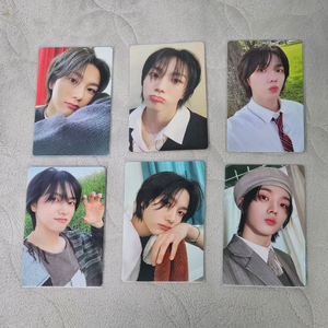 보이넥스트도어 보넥도 성호 포카 일괄 이미지