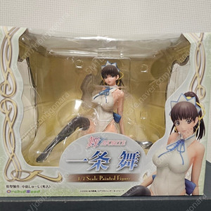 피규어 정리 성인 성피 이미지