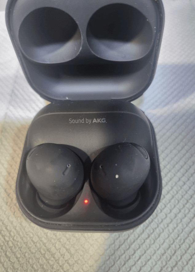 갤럭시 버즈2프로 블랙 이미지