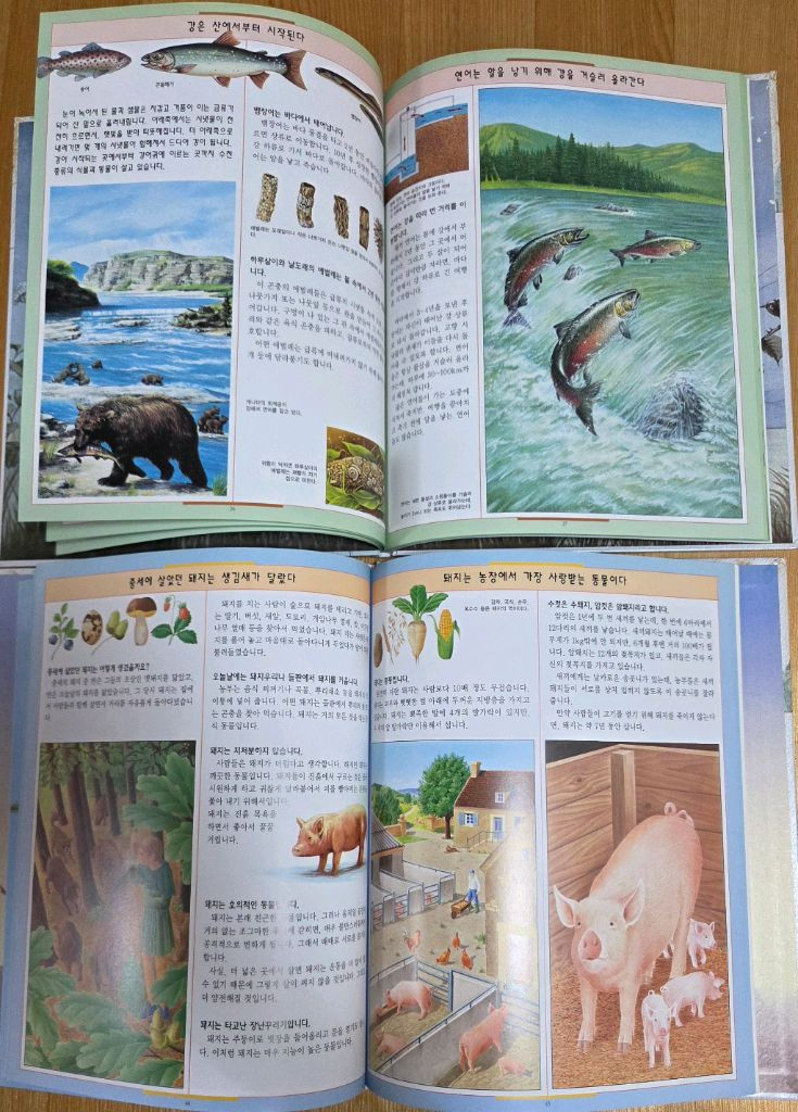 아동 전집들입니다(9,000원씩)--7