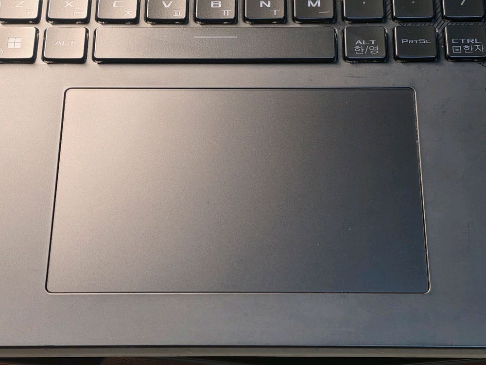 ASUS STRIX SCAR G18 4080 (64/1TB) 이미지