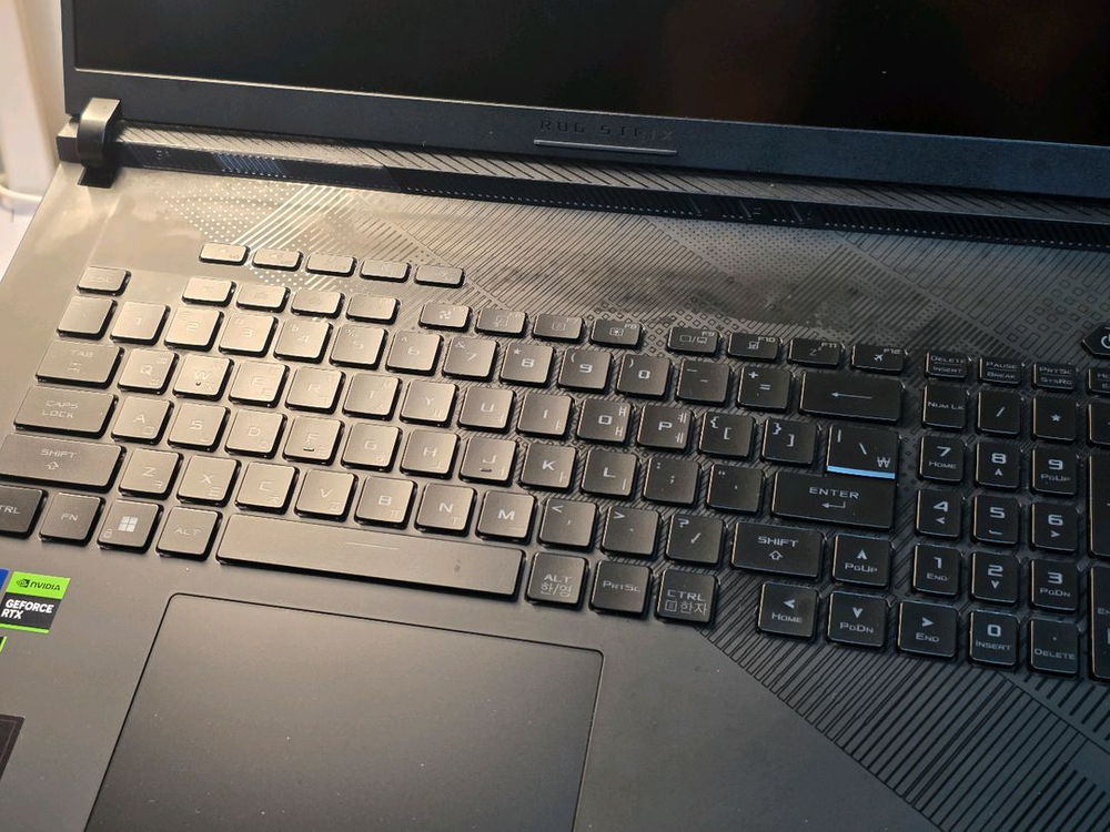 ASUS STRIX SCAR G18 4080 (64/1TB) 이미지